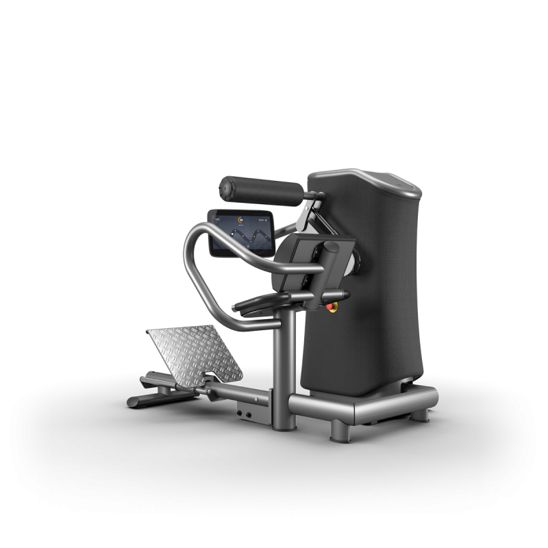 M3 Back Extension.png