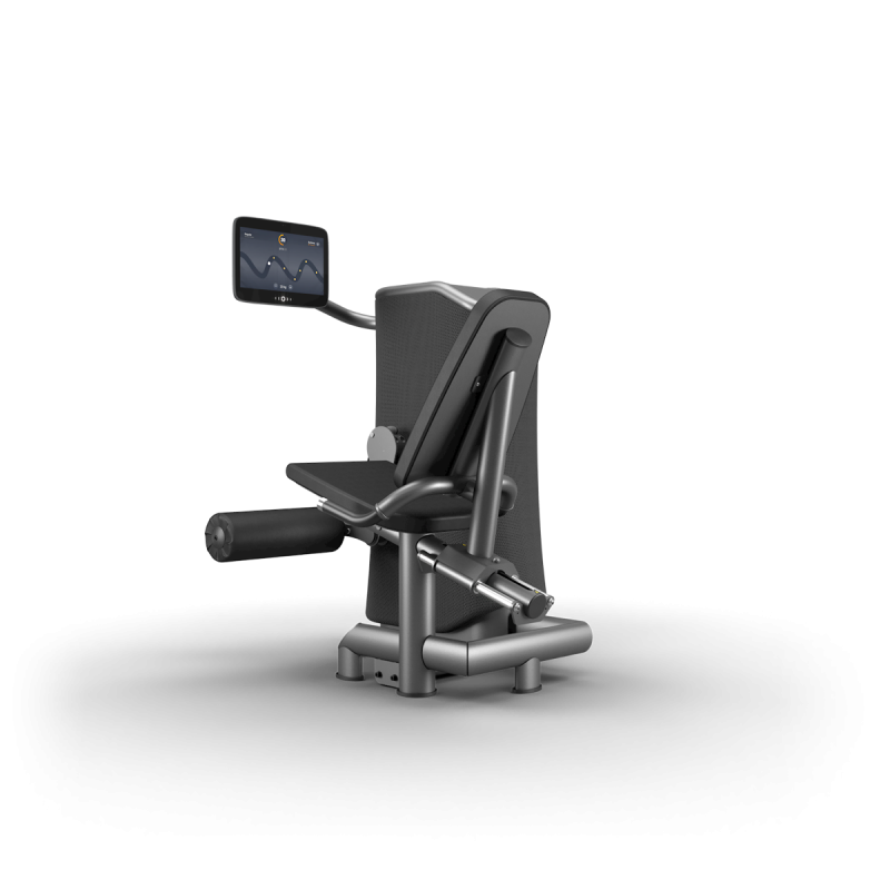 M1 Leg Extension.png